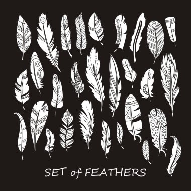 Stilize ve siluet tasarlamak tüy vektör süslü kümesi.