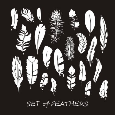 Stilize ve siluet tasarlamak tüy vektör süslü kümesi.