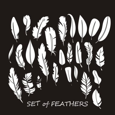 Stilize ve siluet tasarlamak tüy vektör süslü kümesi.