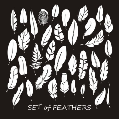 Stilize ve siluet tasarlamak tüy vektör süslü kümesi.