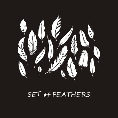 Stilize ve siluet tasarlamak tüy vektör süslü kümesi.