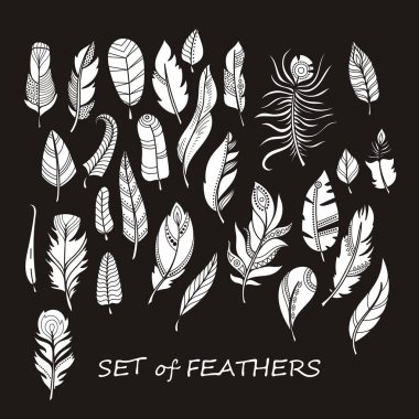 Stilize ve siluet tasarlamak tüy vektör süslü kümesi.