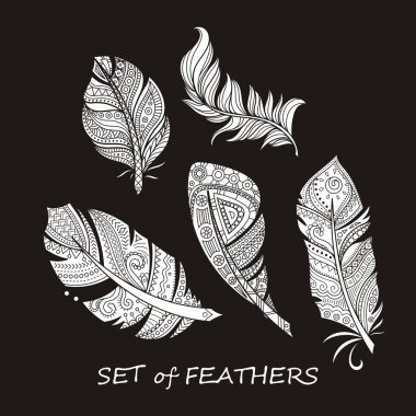 Stilize ve soyut Zentangle tüyler siluet vektör süslü kümesi.