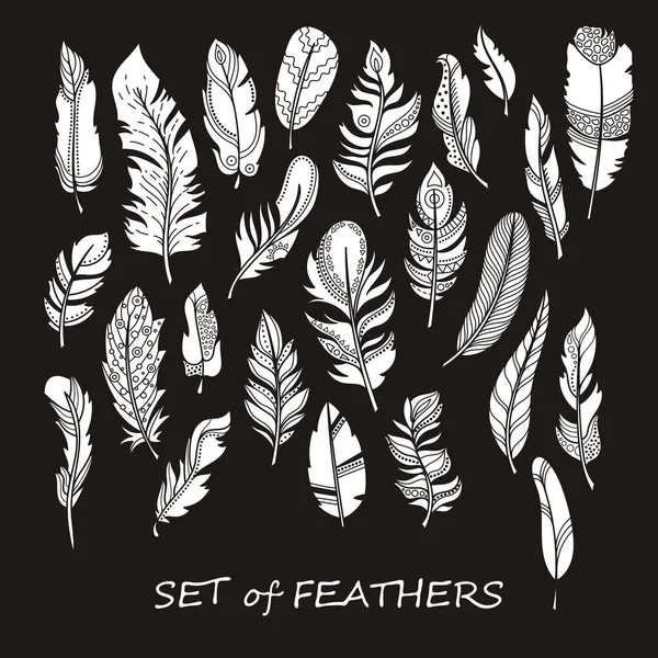 Stilize ve siluet tasarlamak tüy vektör süslü kümesi.