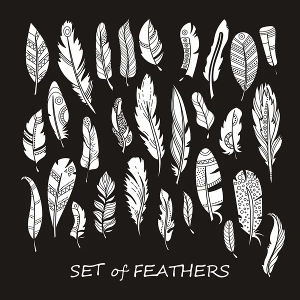 Stilize ve siluet tasarlamak tüy vektör süslü kümesi.