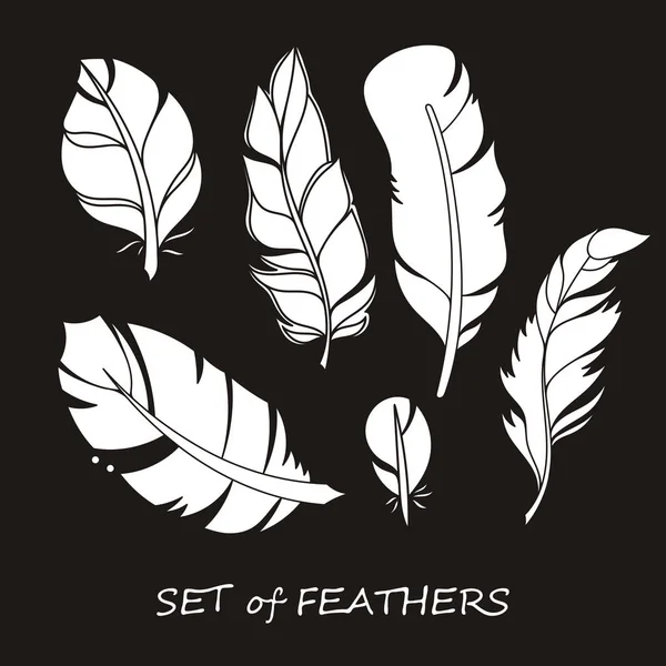 Stilize ve siluet tasarlamak tüy vektör süslü kümesi.