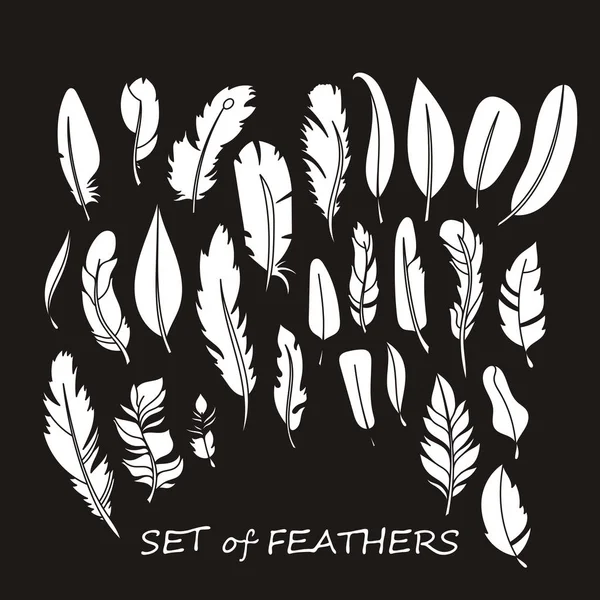 Stilize ve siluet tasarlamak tüy vektör süslü kümesi.