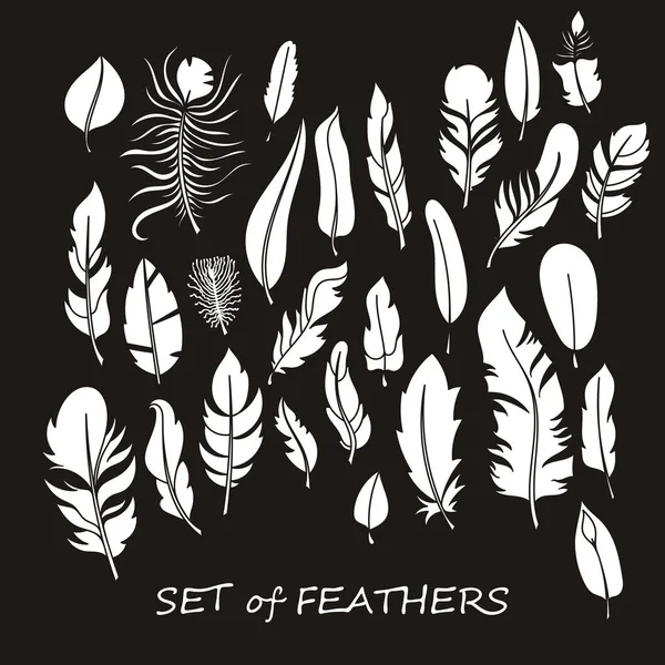 Stilize ve siluet tasarlamak tüy vektör süslü kümesi.