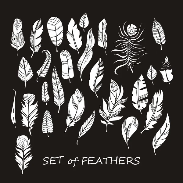 Stilize ve siluet tasarlamak tüy vektör süslü kümesi.