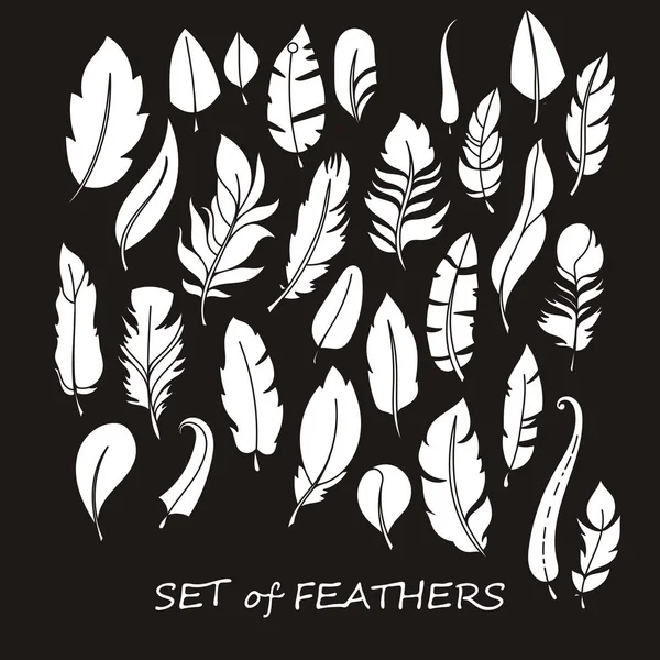 Stilize ve siluet tasarlamak tüy vektör süslü kümesi.