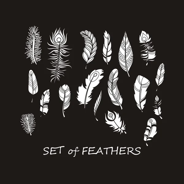 Stilize ve siluet tasarlamak tüy vektör süslü kümesi.