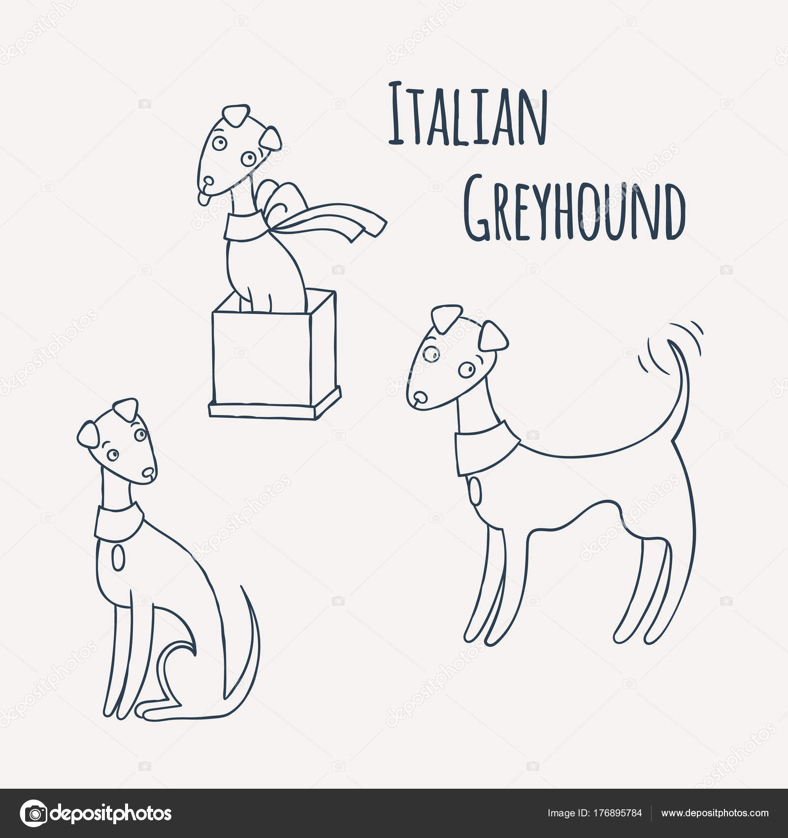 Italian Greyhound Cartoon Dog Set. Stock Vector Image by ©Drekhann #176895784 Italian Greyhound Cartoon Dog Set. Stock Vector Image by ©Drekhann #176895784
