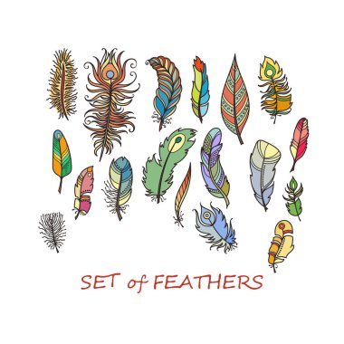 Vektör süslü Set stilize ve soyut tüyler.