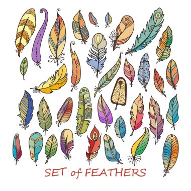 Vektör süslü Set stilize ve soyut tüyler.