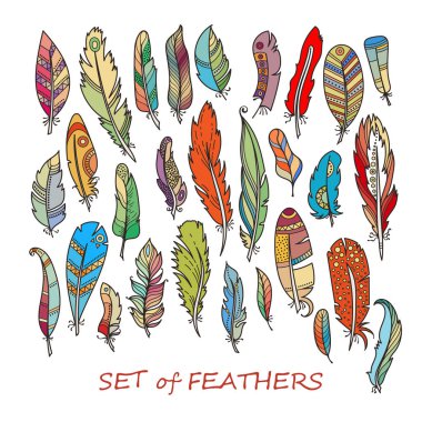 Vektör süslü Set stilize ve soyut tüyler.