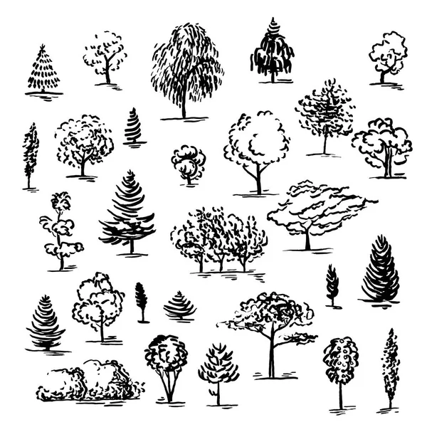 Set of hand drawn of trees. Ink style. — Stock Vector