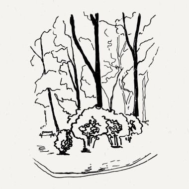 Manzara doğa park ağaç ve çalı.