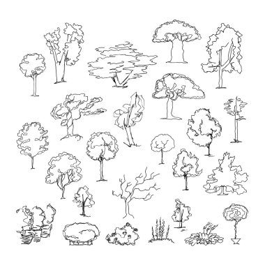 Elle çizilmiş ağaçlarının kümesi. Mürekkep stili.