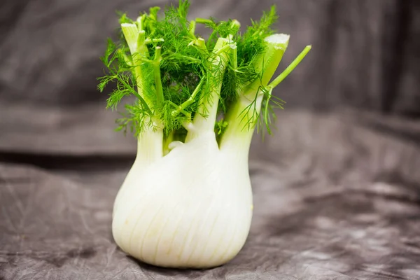 fennel , aromatic , isolated, herb food
