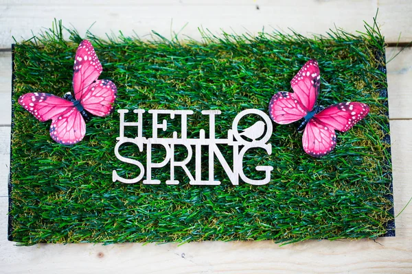 나비와 함께 풀밭에 텍스트로 봄, — 스톡 사진
