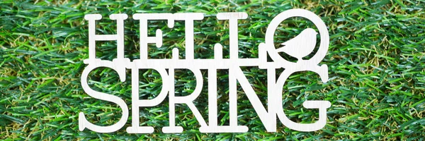 Primavera como texto escrito em um prado com borboleta, simbólica para — Fotografia de Stock