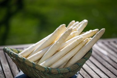 Kuşkonmaz, beyaz kuşkonmaz sepet, arka planda bahçe içinde