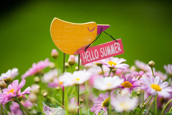 Hello Summer, декоративная птица Маржери — стоковое фото