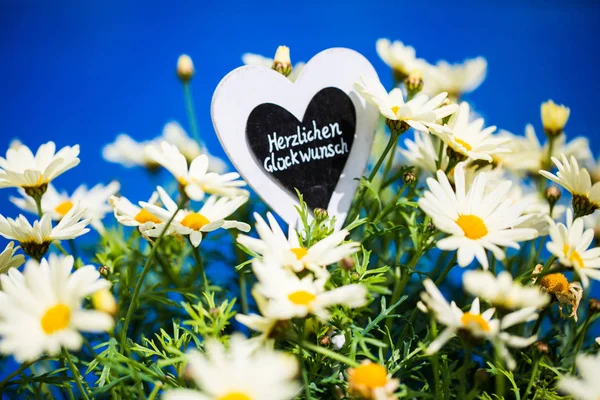 Herz mit Margeriten, Text, "Herzlichen Glückwunsch", blauer Hintergrund — Stockfoto