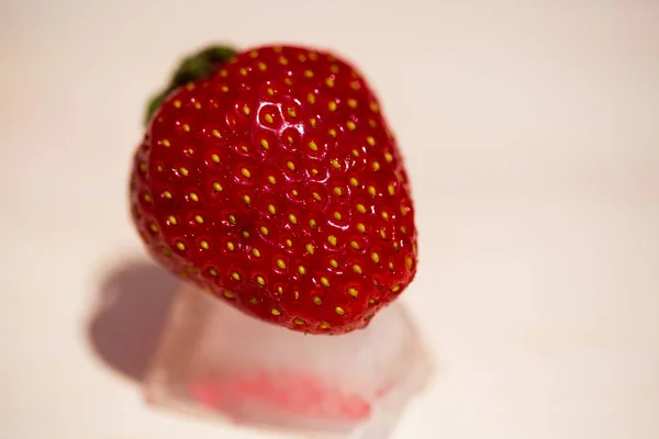 躺在冰块，红色背景上的草莓 — 图库照片