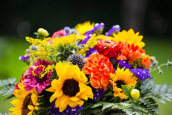 多彩的花束，用在花园里的向日葵 — 图库照片