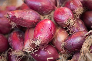 Tropea üzerinden kırmızı soğan