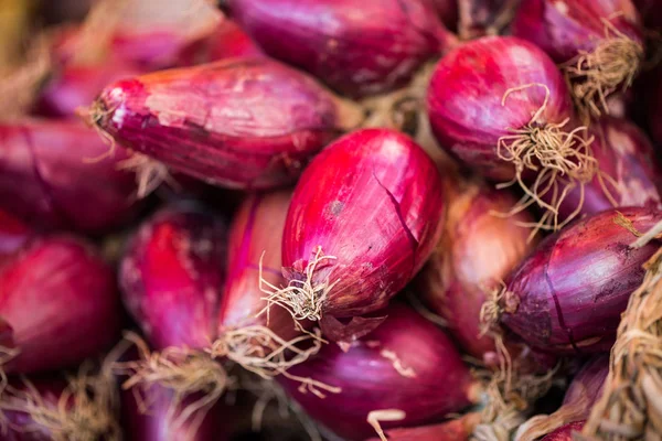 Tropea üzerinden kırmızı soğan