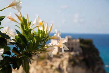 Çiçek tarafından santa maria dellsola deniz manzaralı