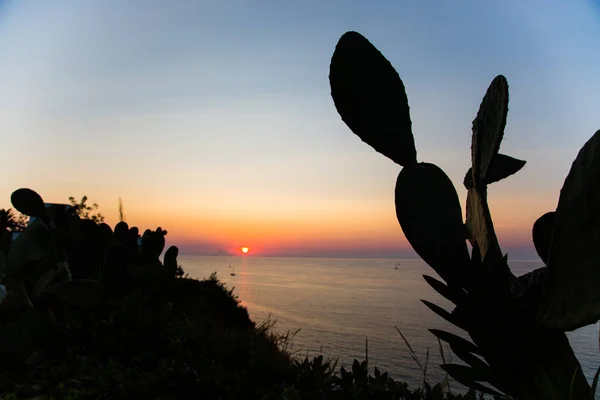 Захід сонця з кактусовим інжиром на фоні, стромболі — стокове фото