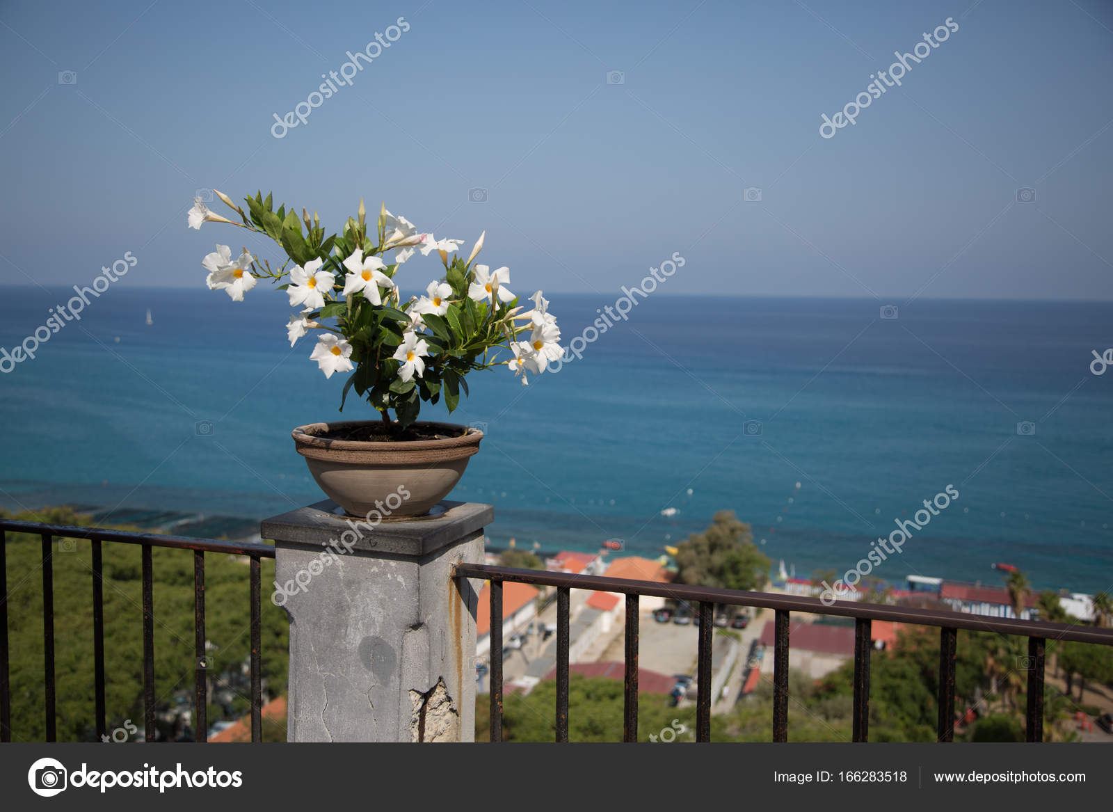 Blume Auf Dem Meer Stockfotografie Lizenzfreie Fotos C Munich1 Depositphotos Blume Auf Dem Meer Stockfotografie Lizenzfreie Fotos C Munich1 Depositphotos