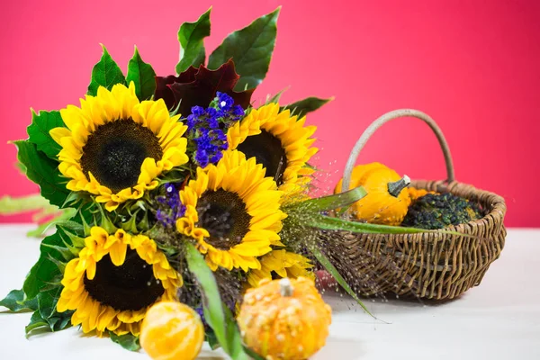 Sunflowers with ornamental pumpkin as autumn decoration, postcard