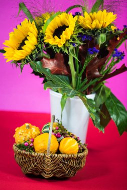 Sonbahar dekorasyon olarak süs kabak ile ayçiçeği kartpostal