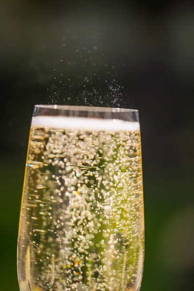 Prosecco glass with blubber — Stock Photo, Image