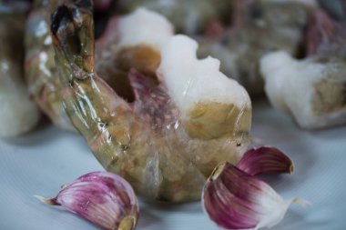 Kral karides plaka üzerinde makro