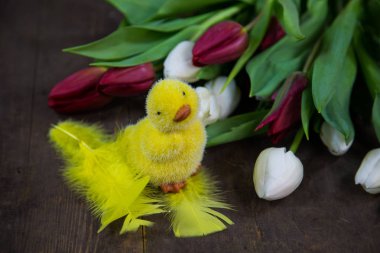 Lale piliciyle, ahşap arka plan