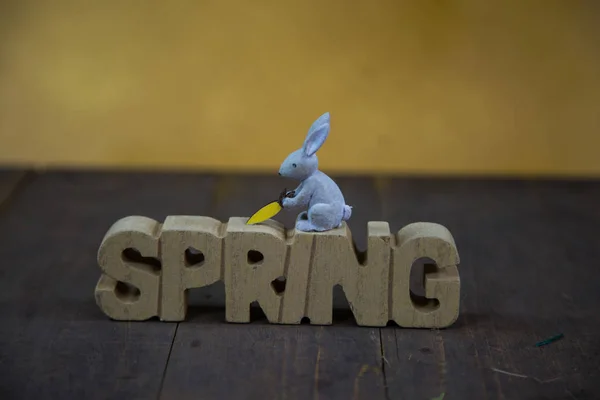 Primavera, lettere su fondo legno, fondo scuro, coniglietto pasquale — Foto Stock