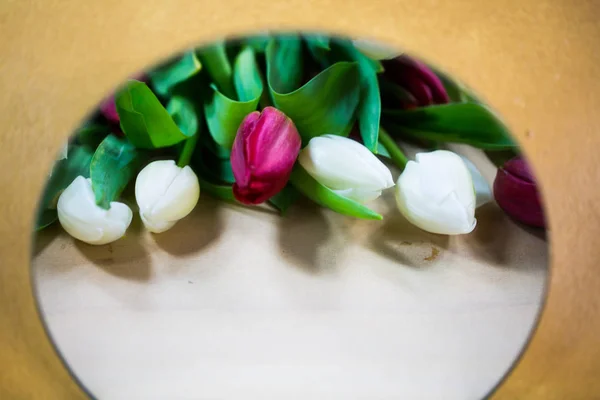 Tulpen auf Holzgrund, goldene, bunte Tulpen — Stockfoto