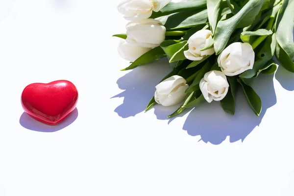 tulips on white background with a red heart