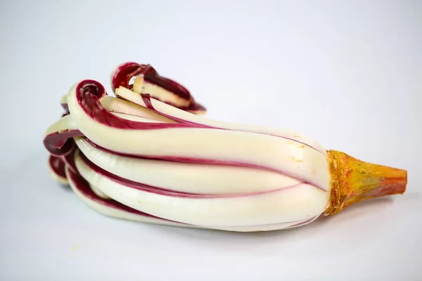 Trevisan radicchio na bílém pozadí — Stock fotografie