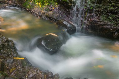 İçinde yosunlu siyah taşlar bulunan bir şelalenin akışı.