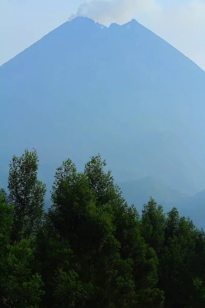 Mount Merapi Morning Very Brightly Colored Trees — Stock Photo, Image