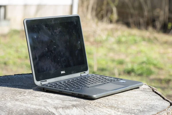 Elgin Illinois Circa 2019 Chromebook Cut Tree Stump Setting Contrasts — Stock Photo, Image