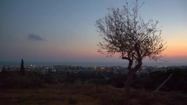 Sobre Fondo Del Cielo Del Atardecer Levanta Árbol Solitario Ciudad — Vídeo de stock