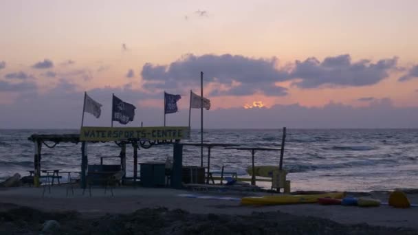 Nsanlar Kıyıda Durup Gün Batımını Seyrediyorlar Bir Akşam Esintisi Palmiye — Stok video
