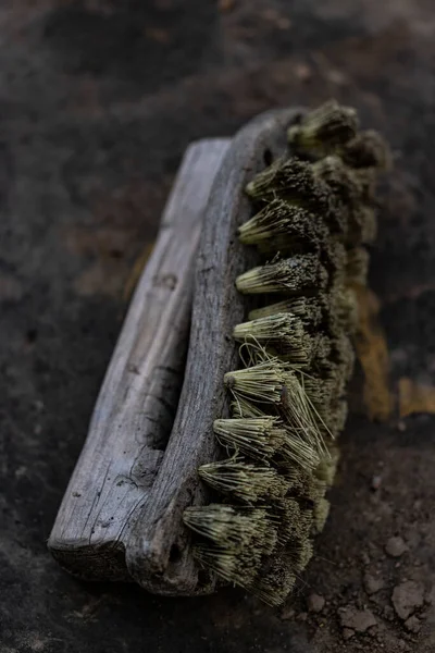 Tahta çalı yerde yatıyor.